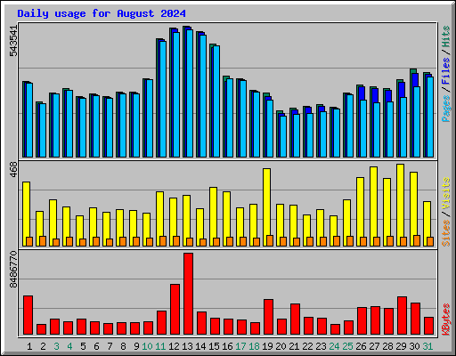 Daily usage for August 2024