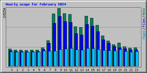 Hourly usage for February 2024