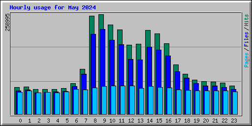 Hourly usage for May 2024