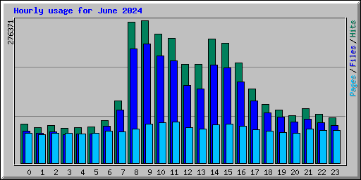 Hourly usage for June 2024