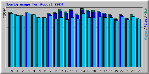 Hourly usage for August 2024