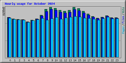 Hourly usage for October 2024