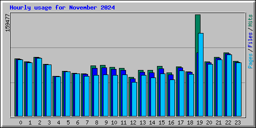 Hourly usage for November 2024