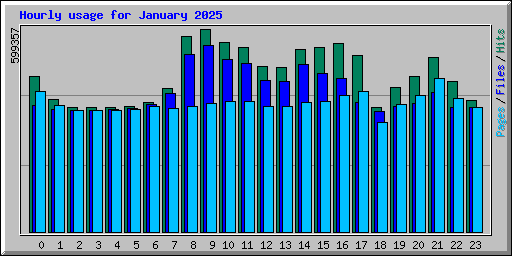 Hourly usage for January 2025