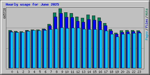 Hourly usage for June 2025