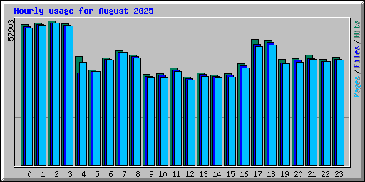 Hourly usage for August 2025
